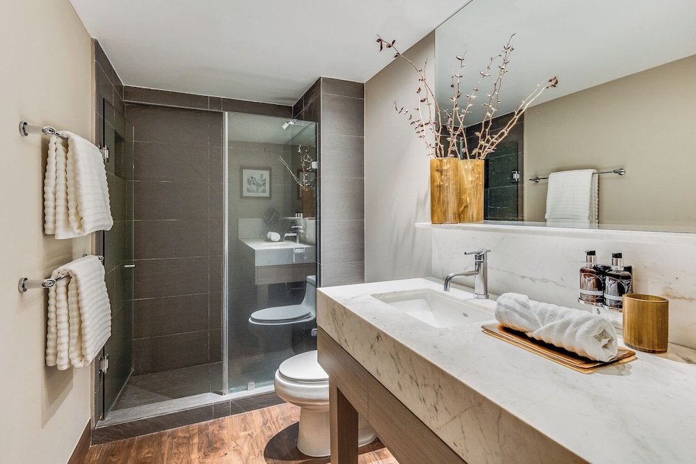 Dominion Polanco Ex Dominion Corporate Suites 49/50