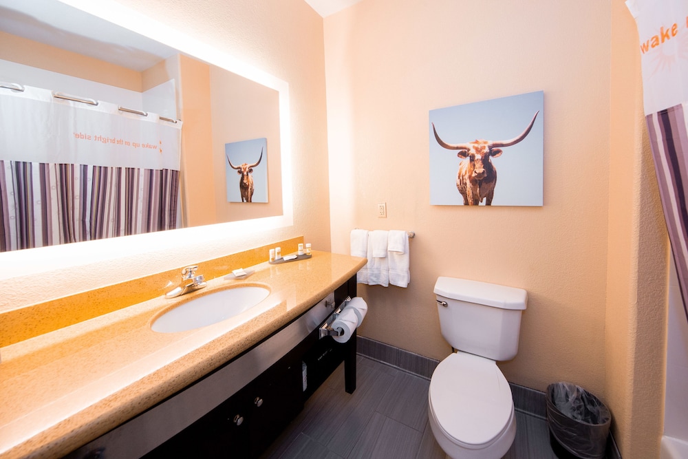 La Quinta Inn & Suites by Wyndham Big Spring 19/48