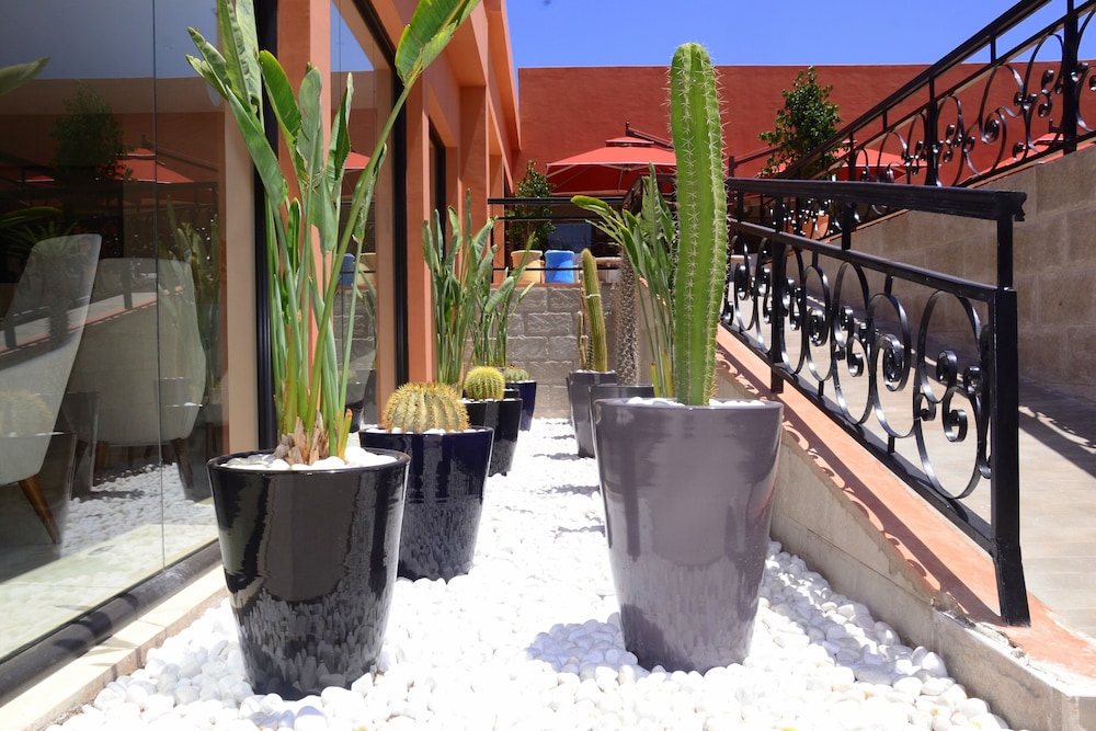 Medina Gardens - Adult only 12/73