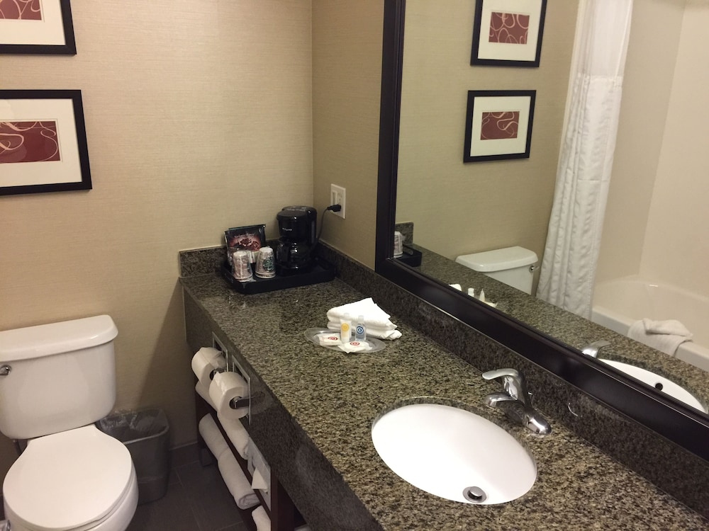 Suite, King Bed, Sofa, Accessible, Comfort Suites Near Six Flags Magic Mountain 8/8