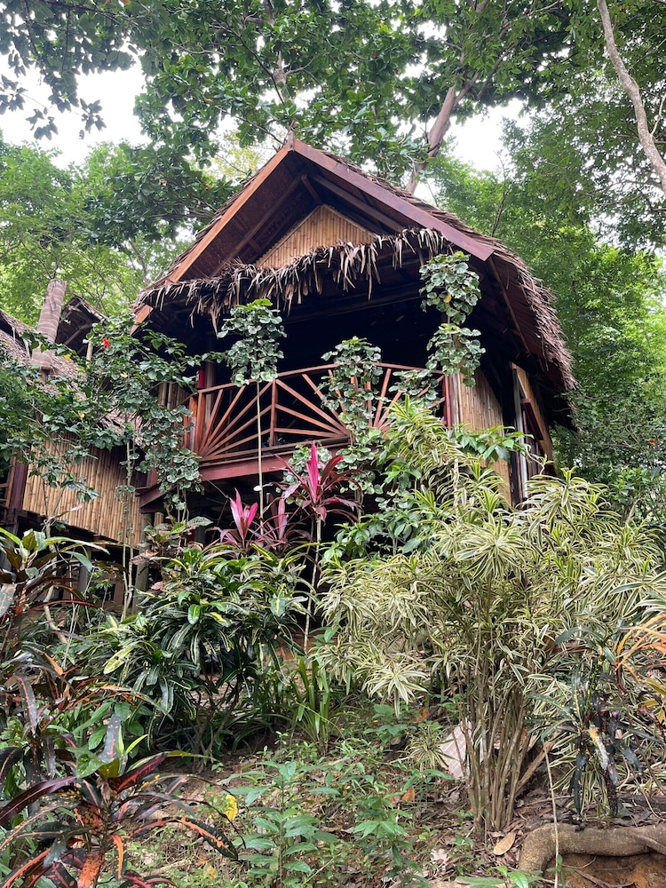 Viking Nature Resort 2/50