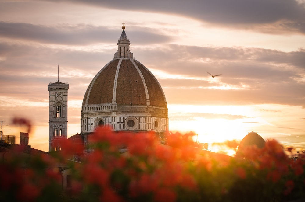 Hotel Cardinal of Florence 29/54