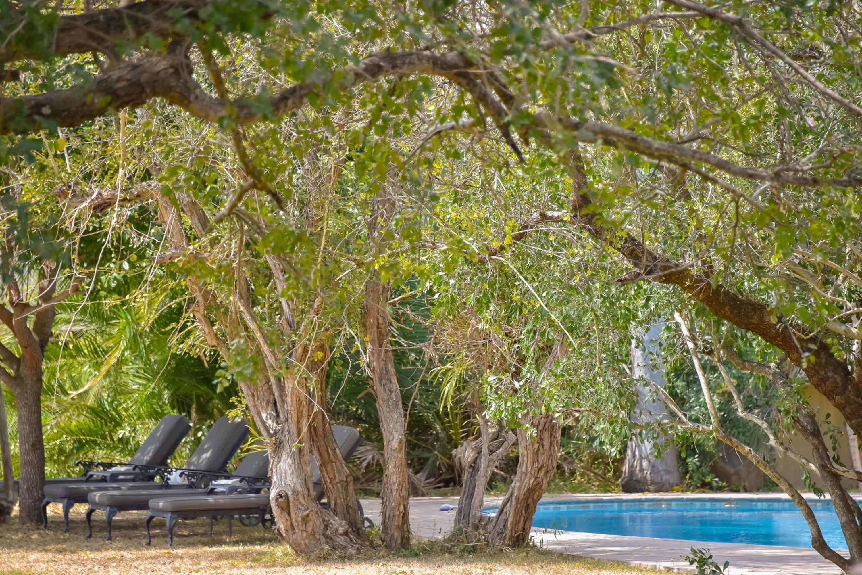 Inyati Game Lodge 33/63