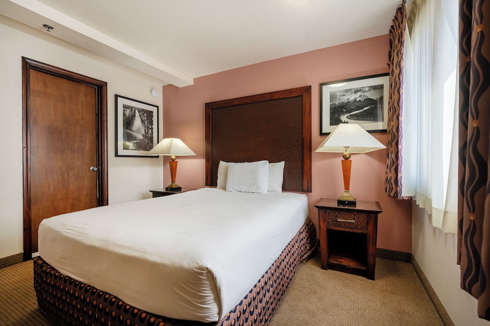 District Hotel 24/50