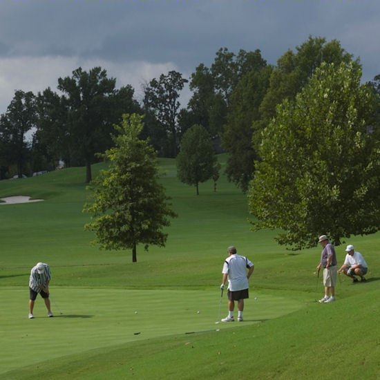 Holiday Inn Club Vacations Holiday Hills Resort at Branson 23/57