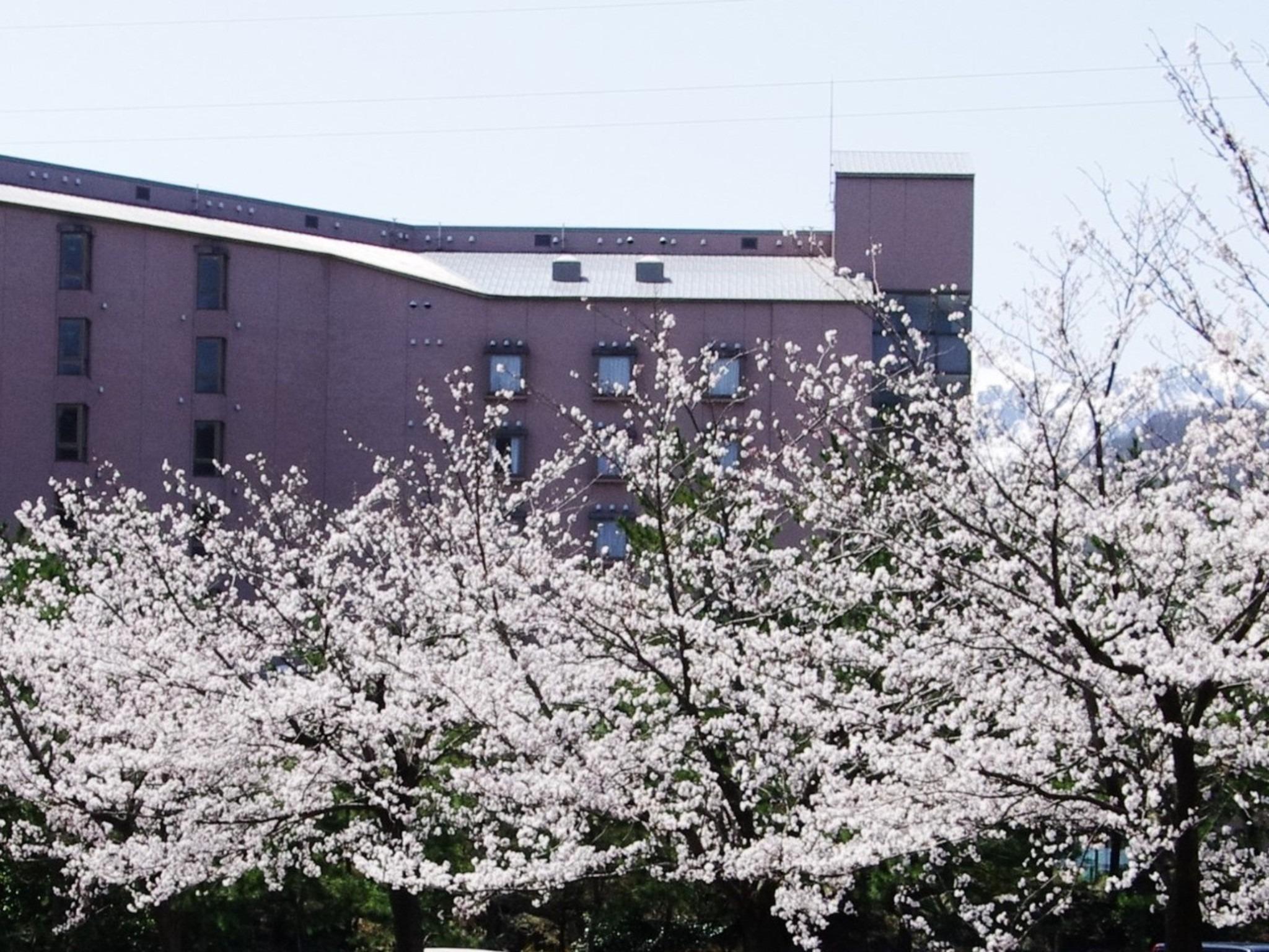 HOTEL KUNITOMI ANNEX 3/36