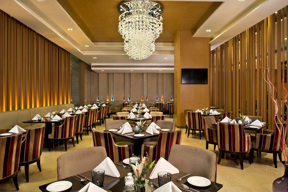 Radisson Blu Hotel Jaipur Airport 57/66