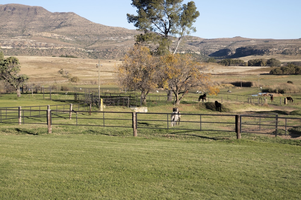 Moolmanshoek Private Game Reserve 31/35