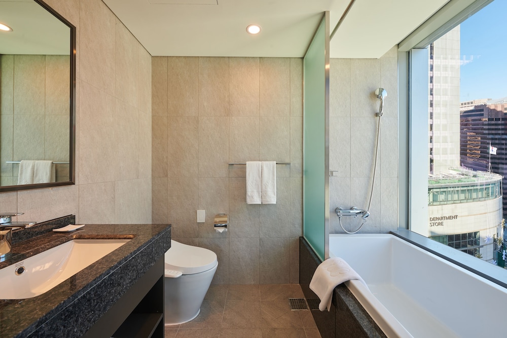 Stanford Hotel Myeongdong 43/50