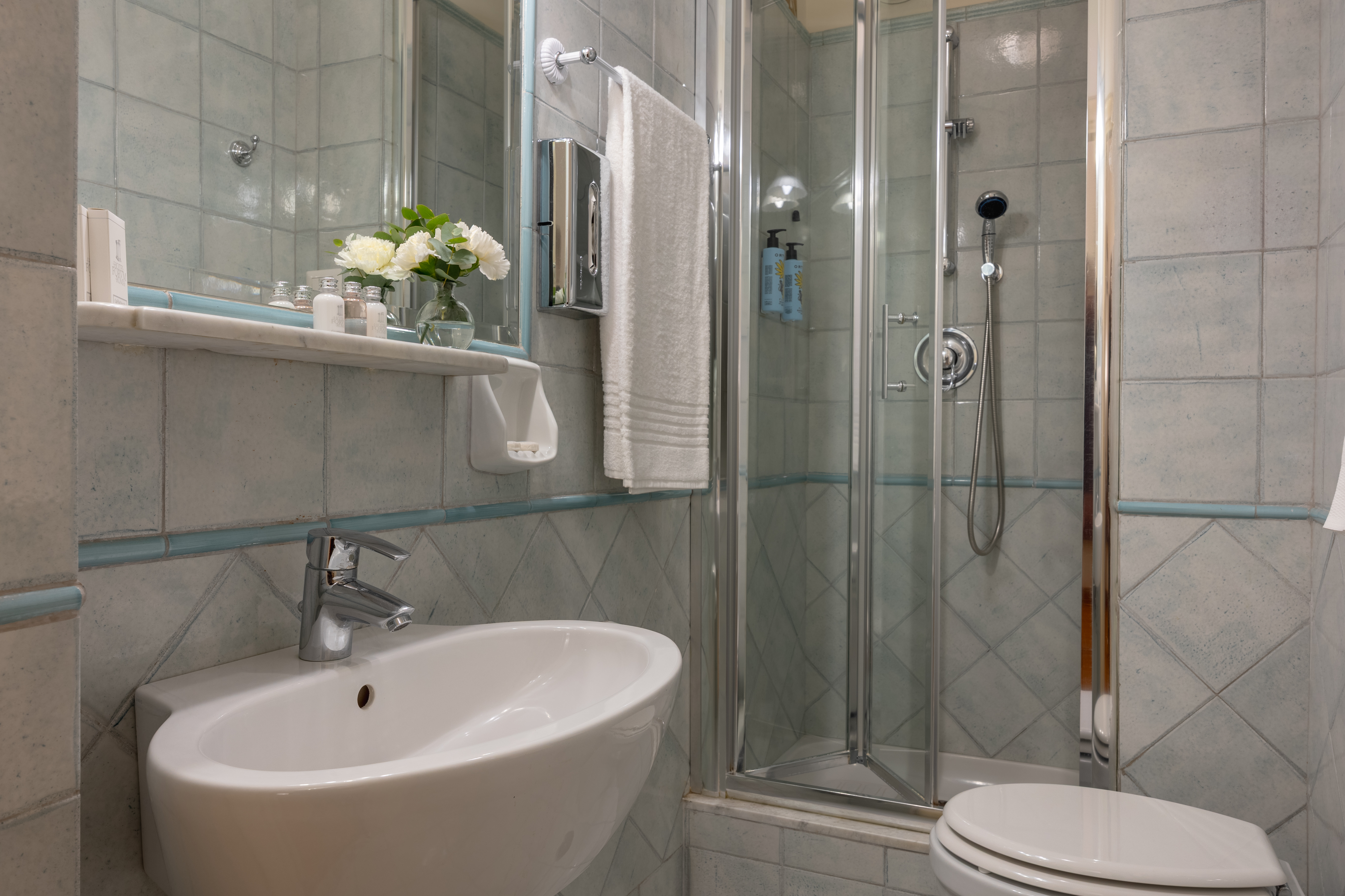 غرفة قياسية مفردة، Forum Hotel Rome 6/6