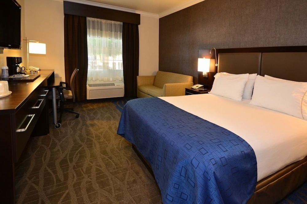 Holiday Inn Express Hotel Suites Santa Clara 13/58