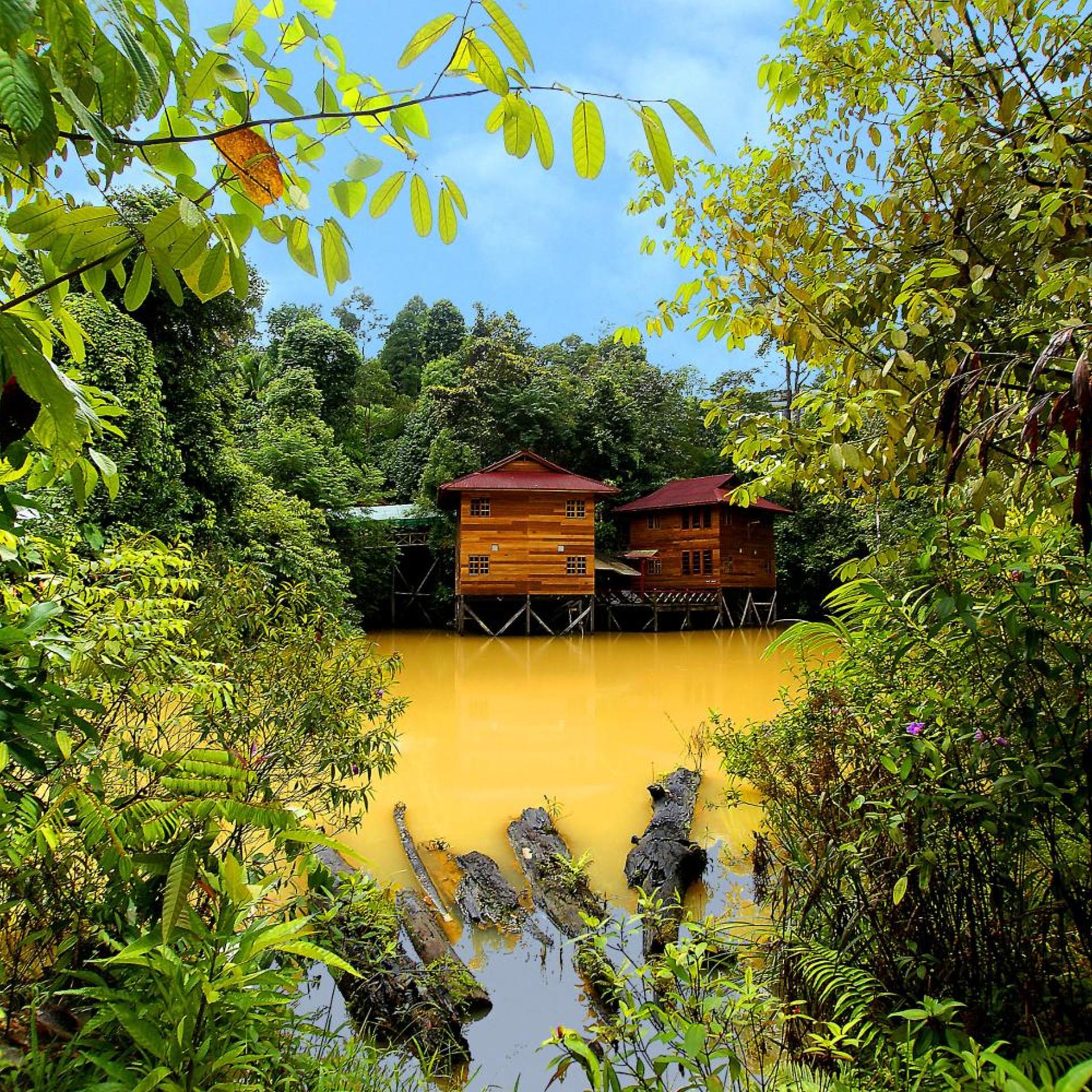 BORNEO TROPICAL RAINFOREST RESORT 52/55