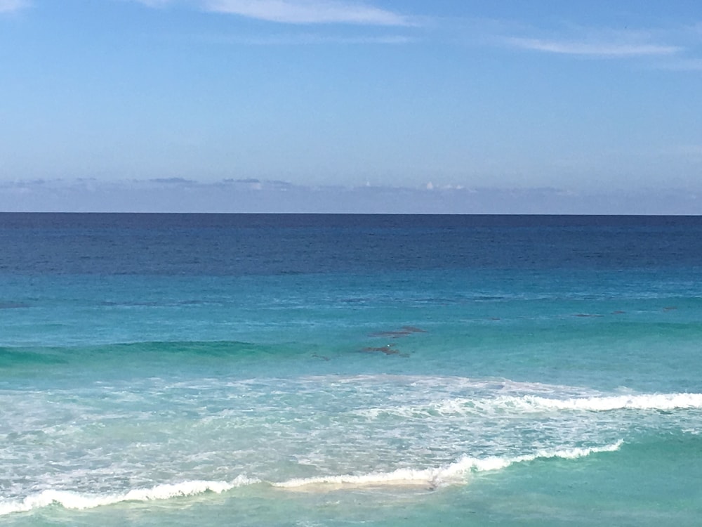 Cancun Plaza Condo 43/49