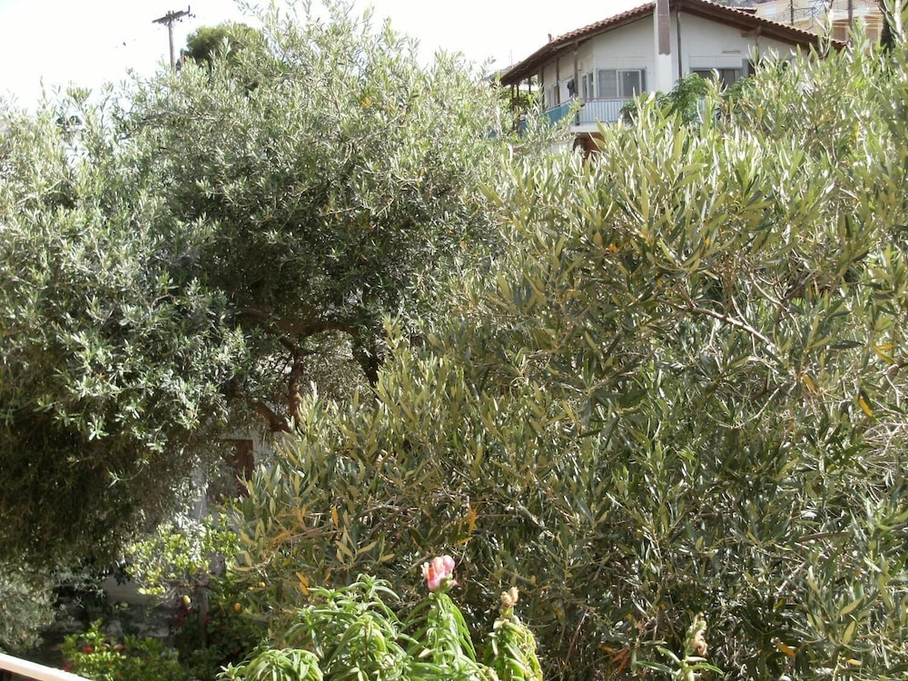 Katerina Hotel 39/40