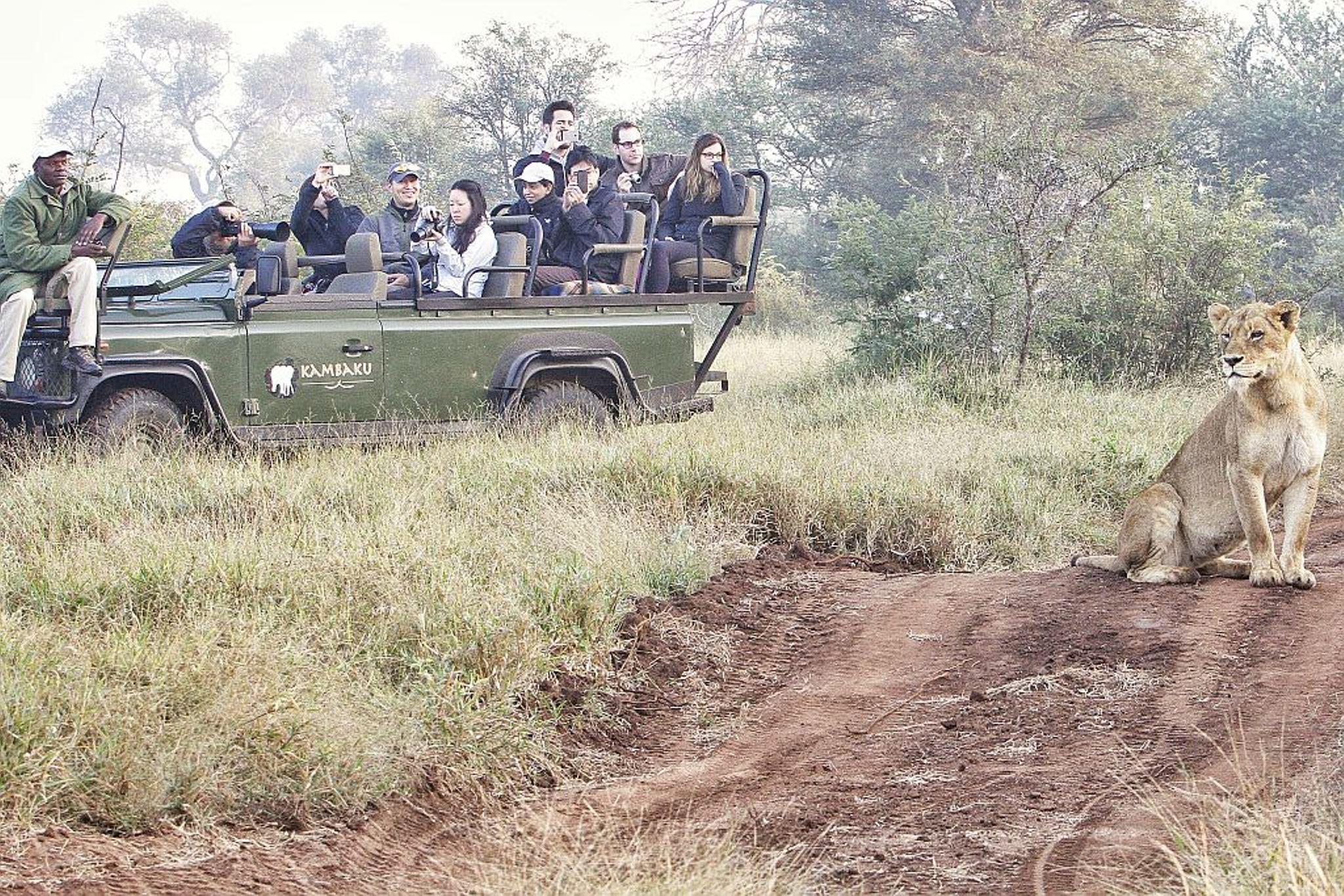 Kambaku River Sands 51/55