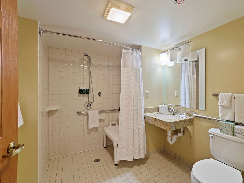 Towneplace Suites By Marriott Chantilly Dulles South 10/57