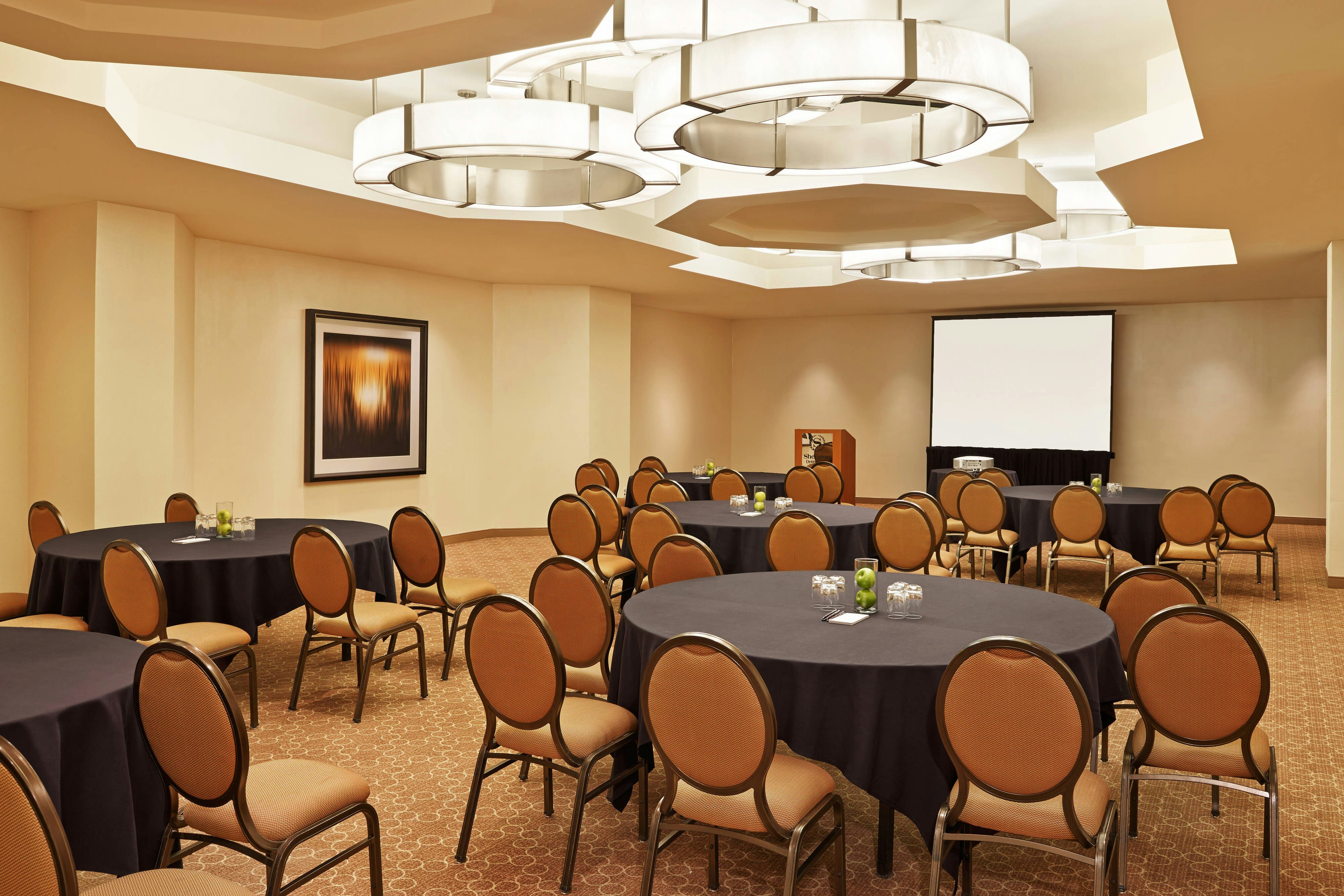 Sheraton Detroit Novi Hotel 19/24
