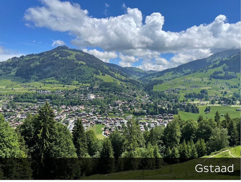 Hotel Arc En Ciel Gstaad 63/70