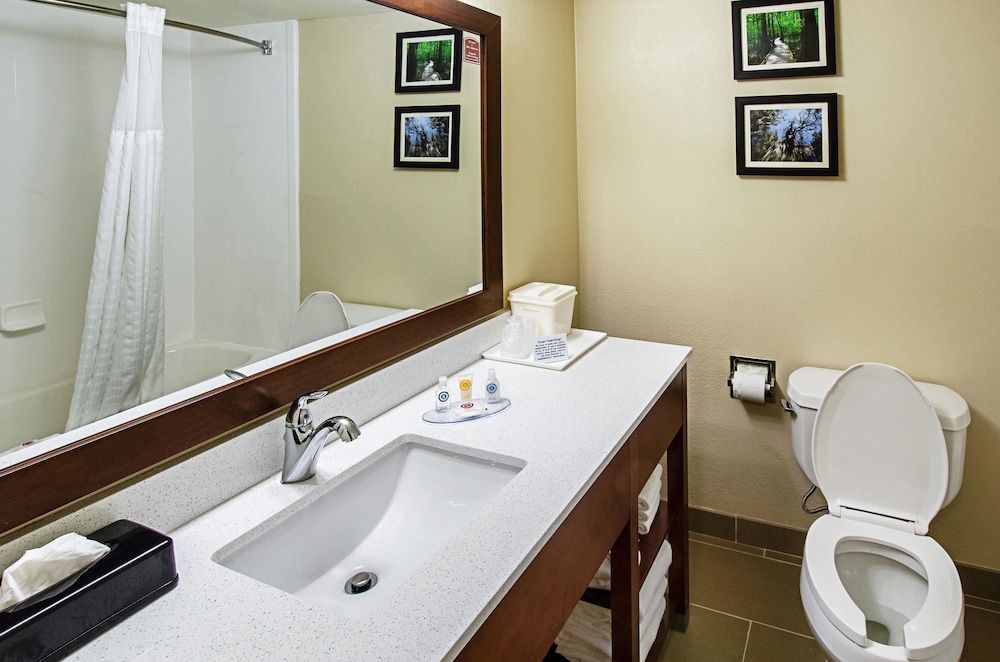Comfort Inn Suites Santee 36/39