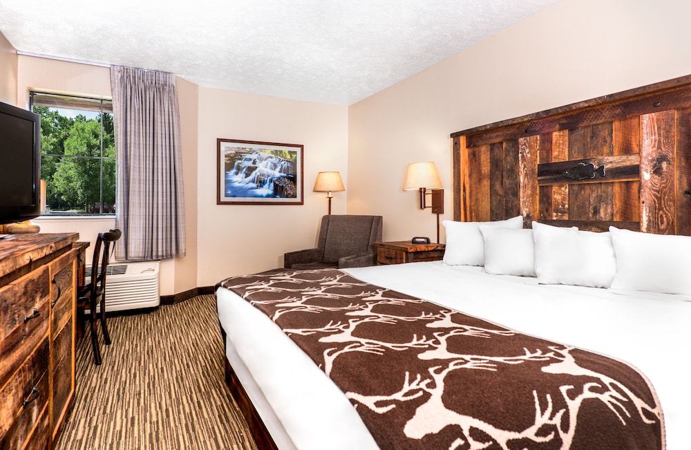 STANDARD, KING BED, ACCESSIBLE