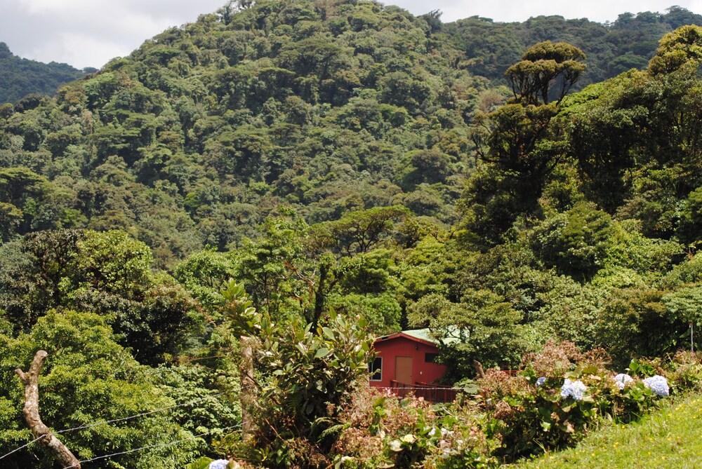 Vista Verde Lodge 37/50