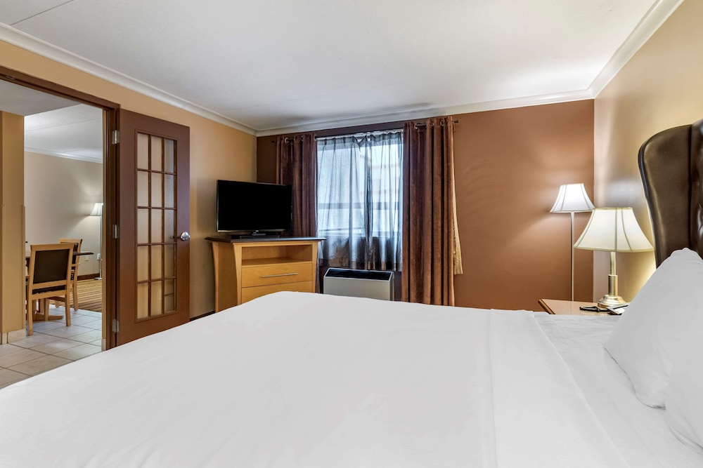 Suite, King Bed, Sofa, Kitchenette