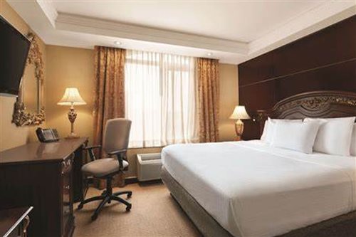 Studio, Suite, King Bed