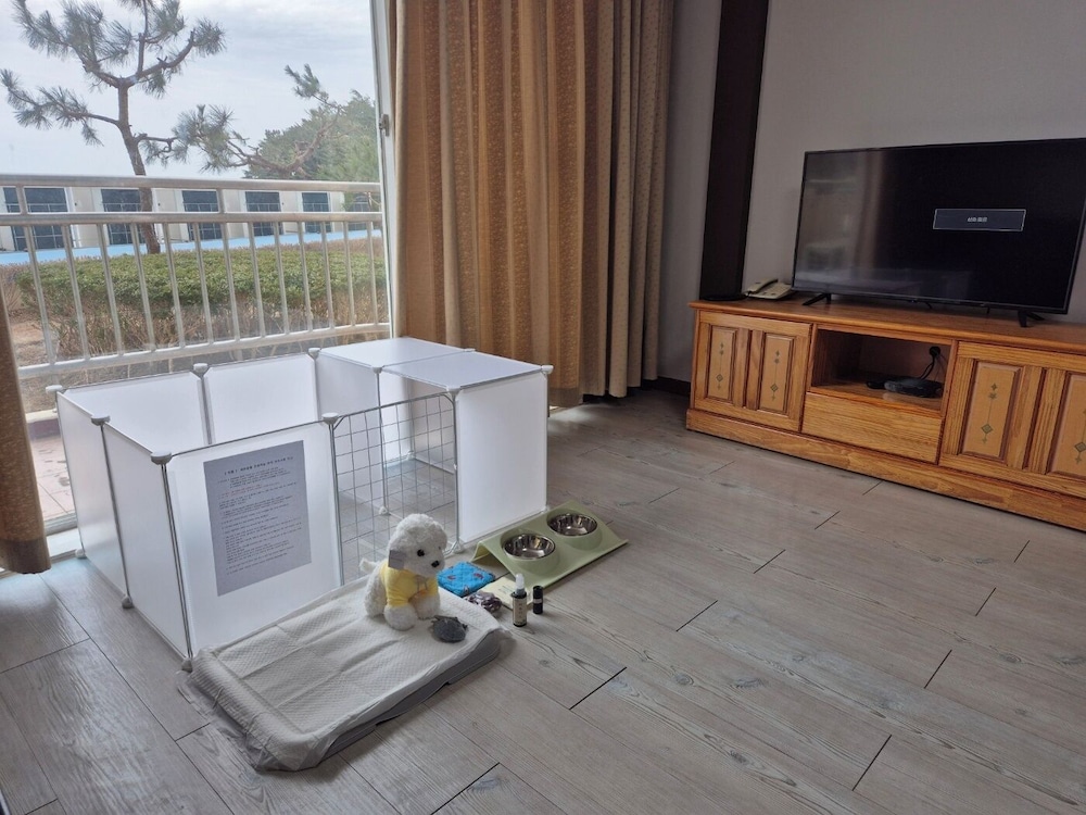 Geumgangsan Condominium 10/23
