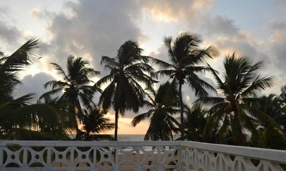 Star Beach Hotel 42/50