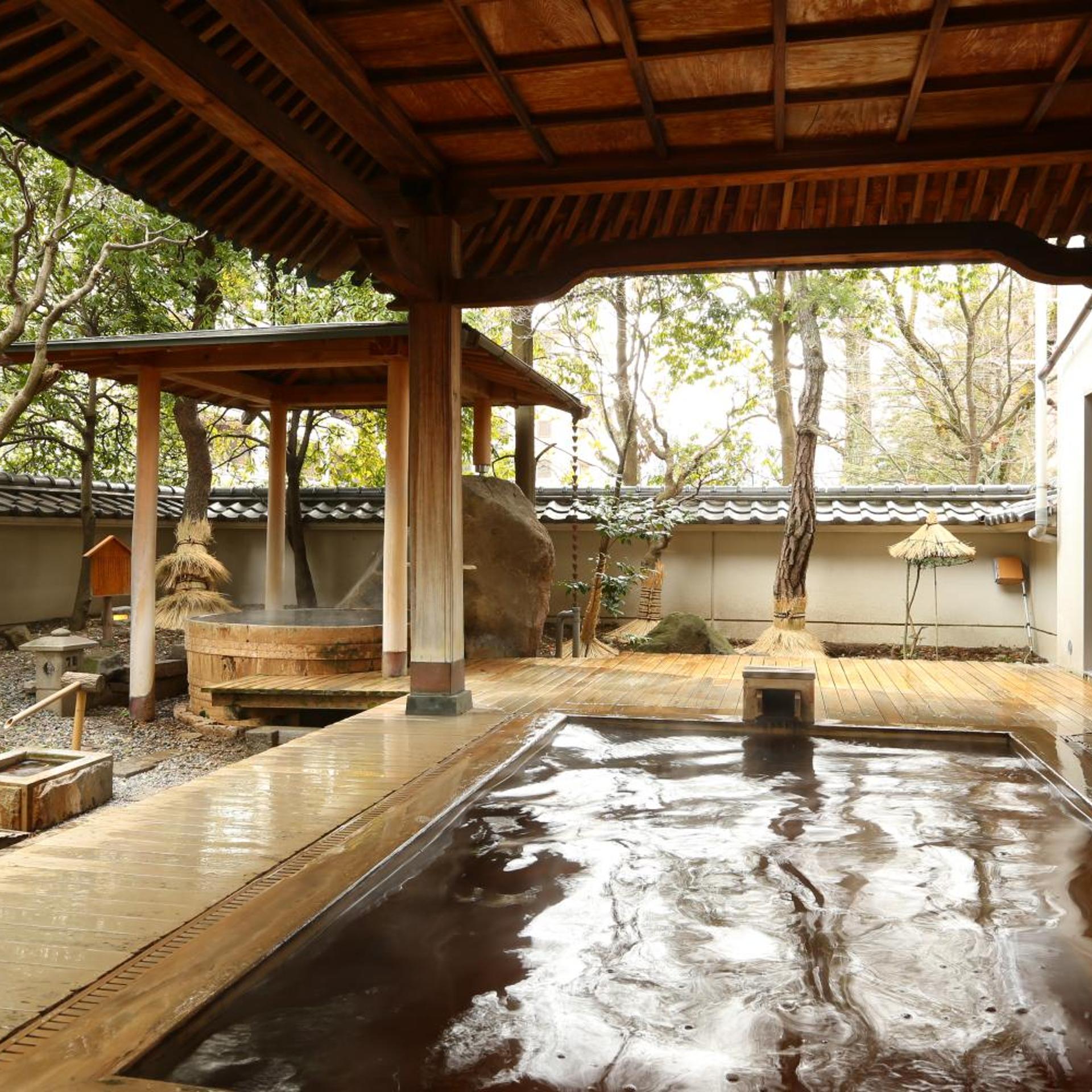 Hotel Saginoyu 21/39