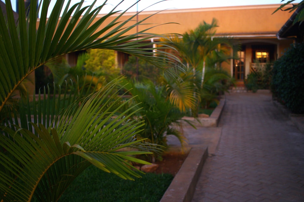African Roots Guesthouse 34/47