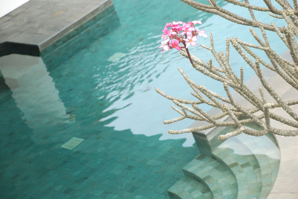 eL Hotel Malang 43/46
