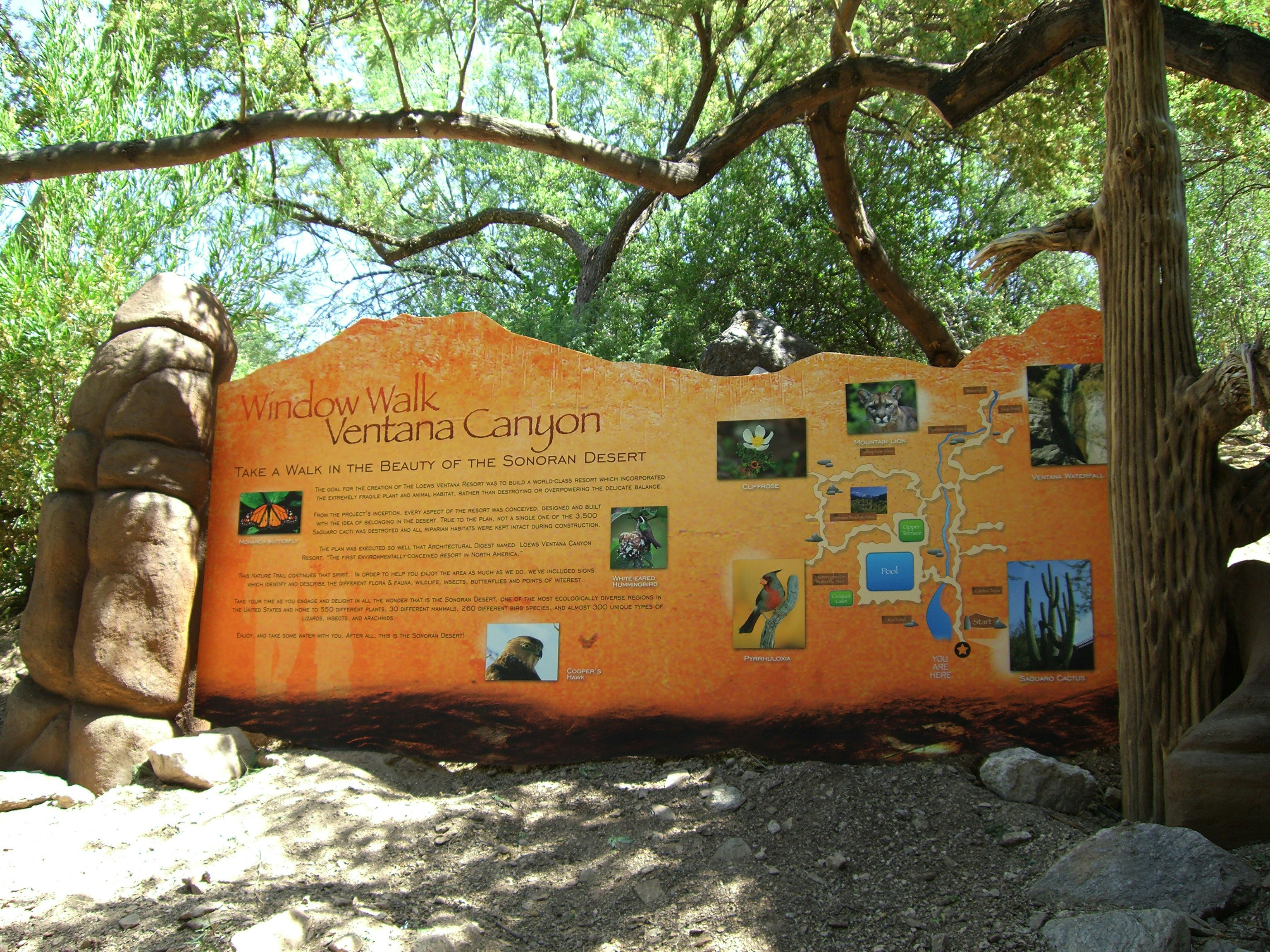 Loews Ventana Canyon Resort 6/99