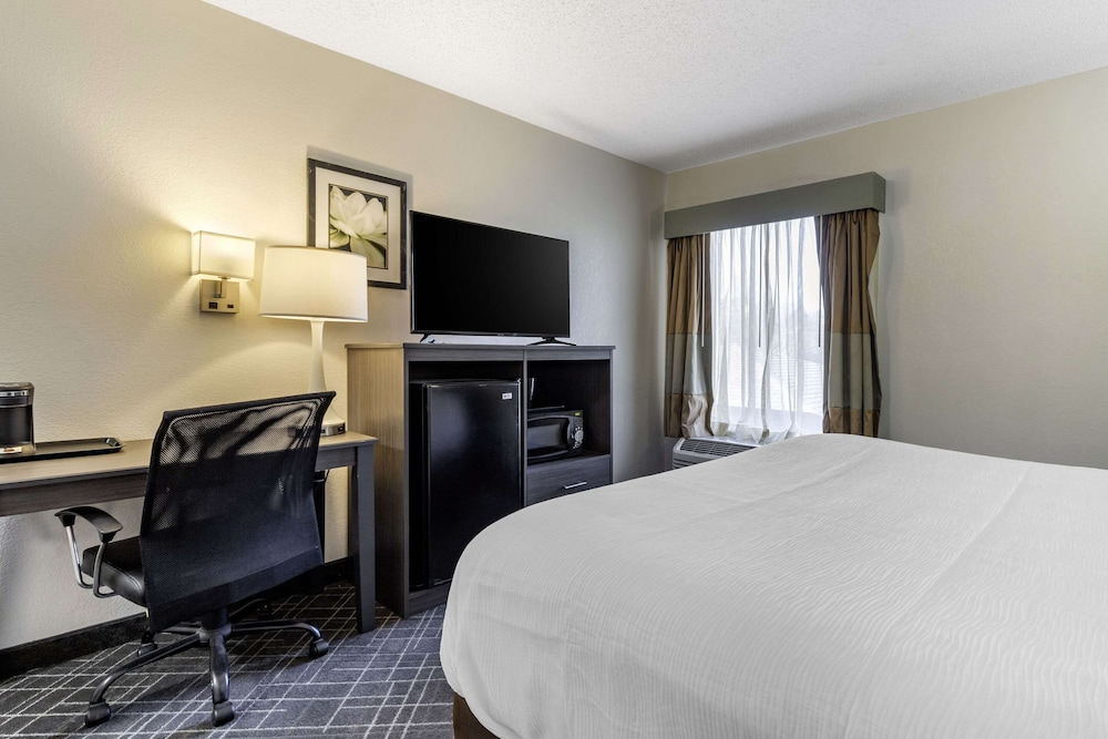 Standard, Queen Bed
