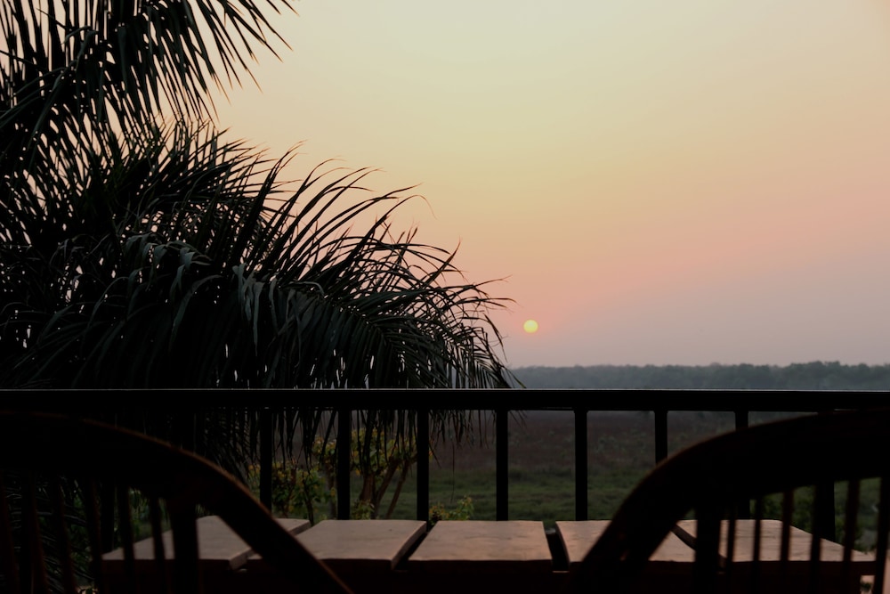 Jungle Sunset Camp 6/20