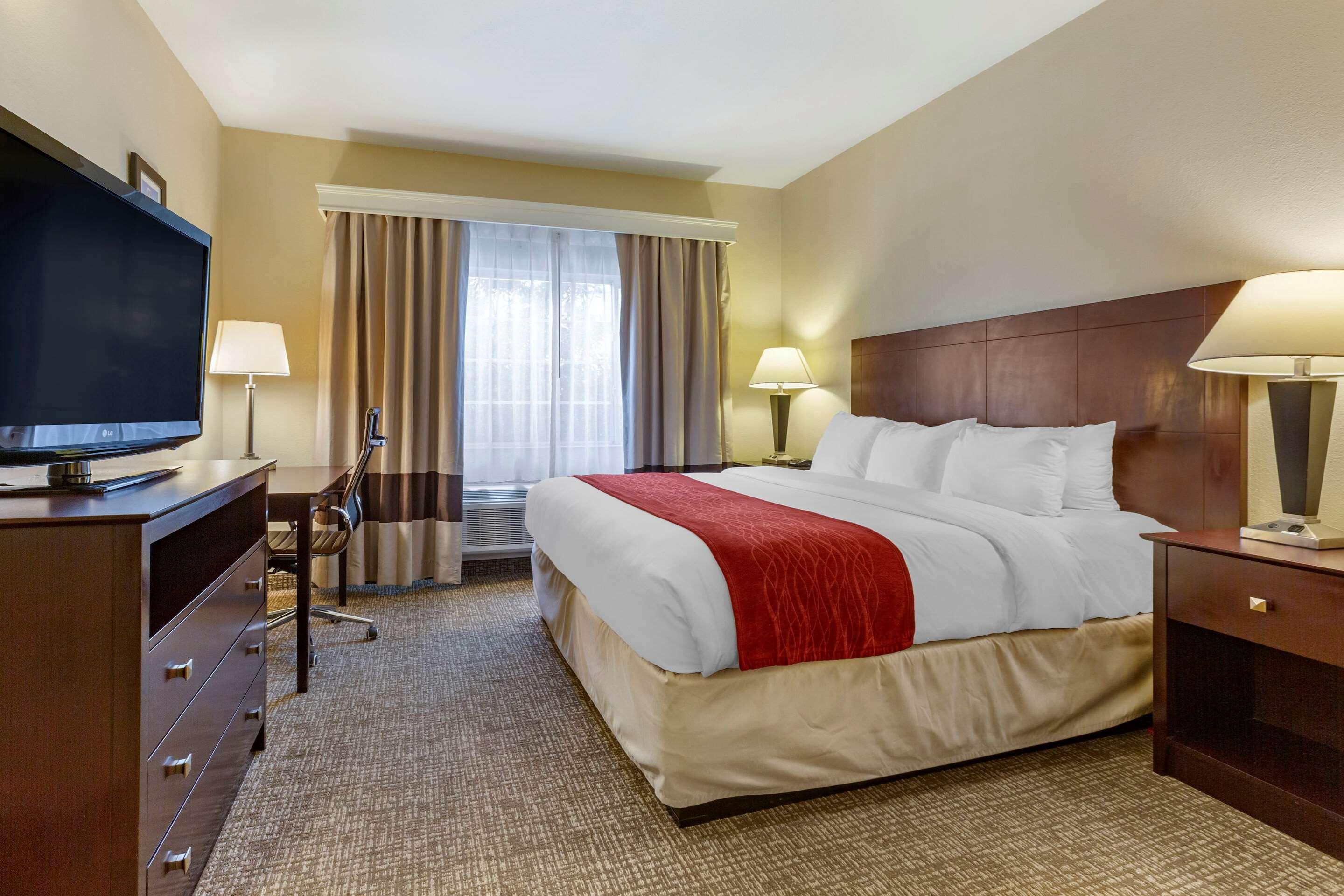 SUITE, KING BED