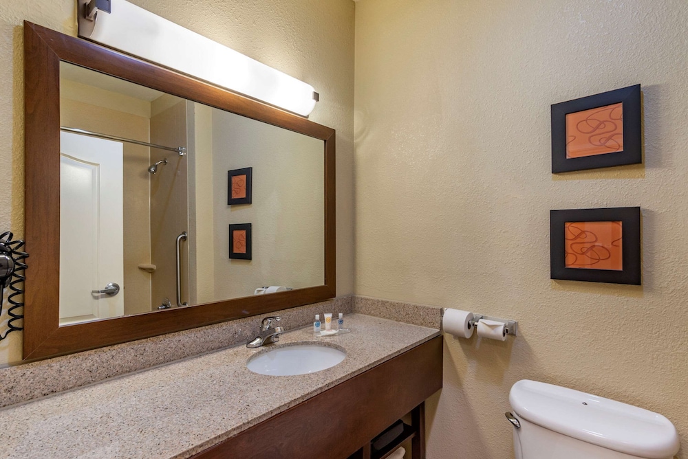 Comfort Suites Montgomery East Monticello Dr 17/47