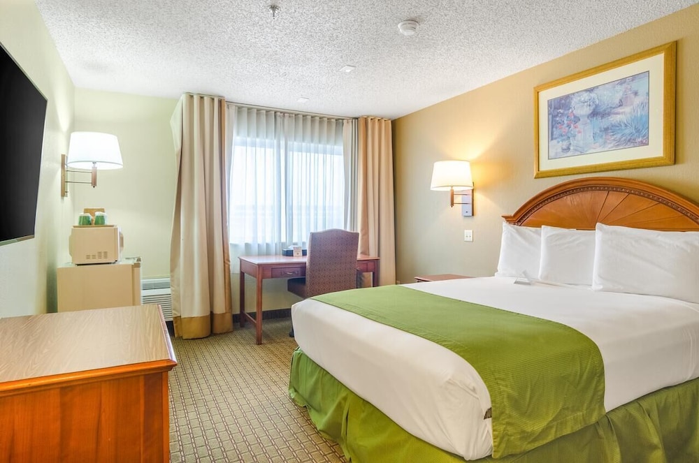 Room, Queen Bed