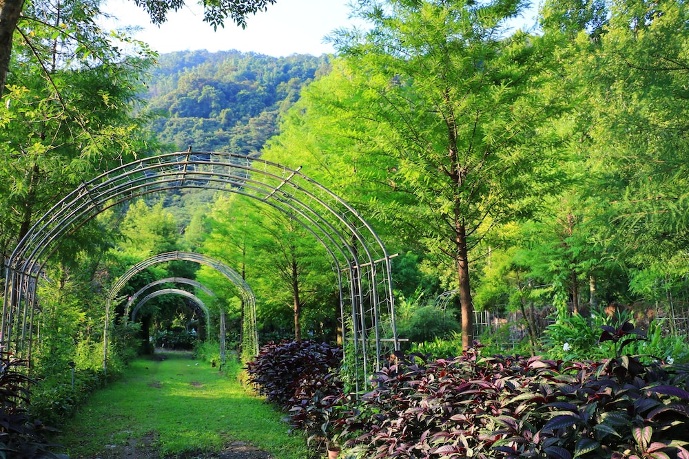 Tai-Yi Red Maple Resort(Tai-Yi Ecological Leisure Farm) 61/64