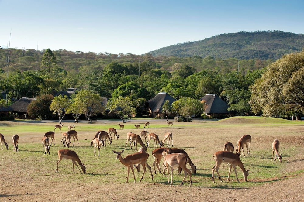Kruger Park Lodge 65/67