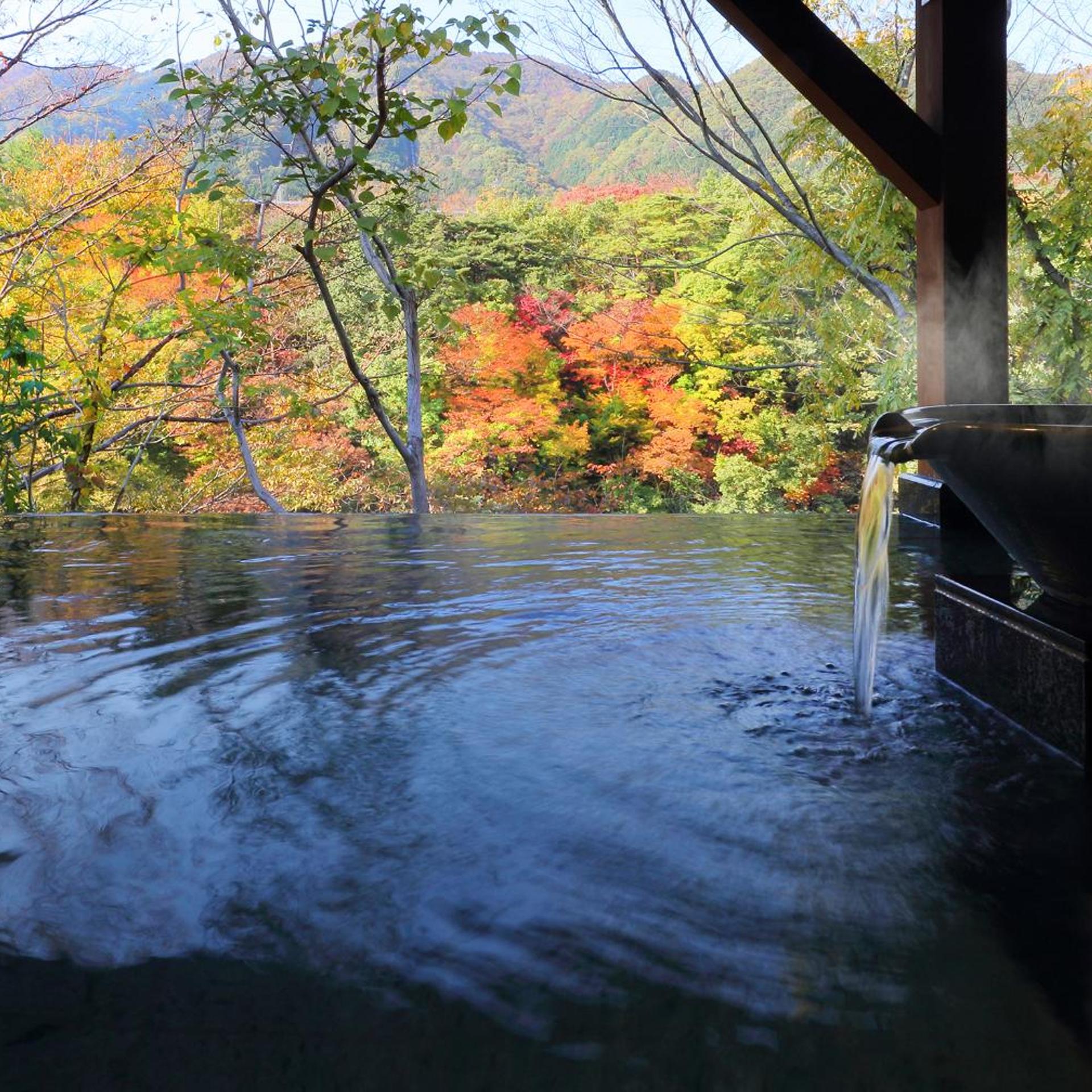 Tanigawa Hotel Nanaeyae 37/49