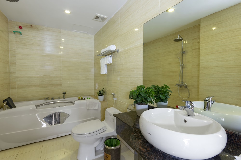 Vip, King Bed، Phuong Anh Hotel 4/4