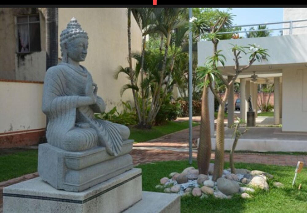 Zenharmony Suites Puerto Vallarta 14/19