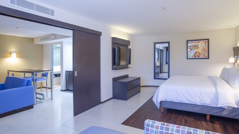 Holiday Inn Express Mexico Basilica 15/52