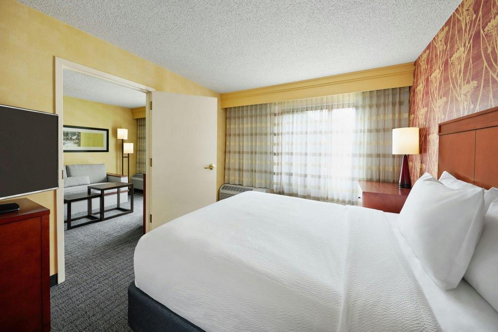 1 Bedroom, 2 Rooms, Guest Room, Suite, King Bed, Sofa