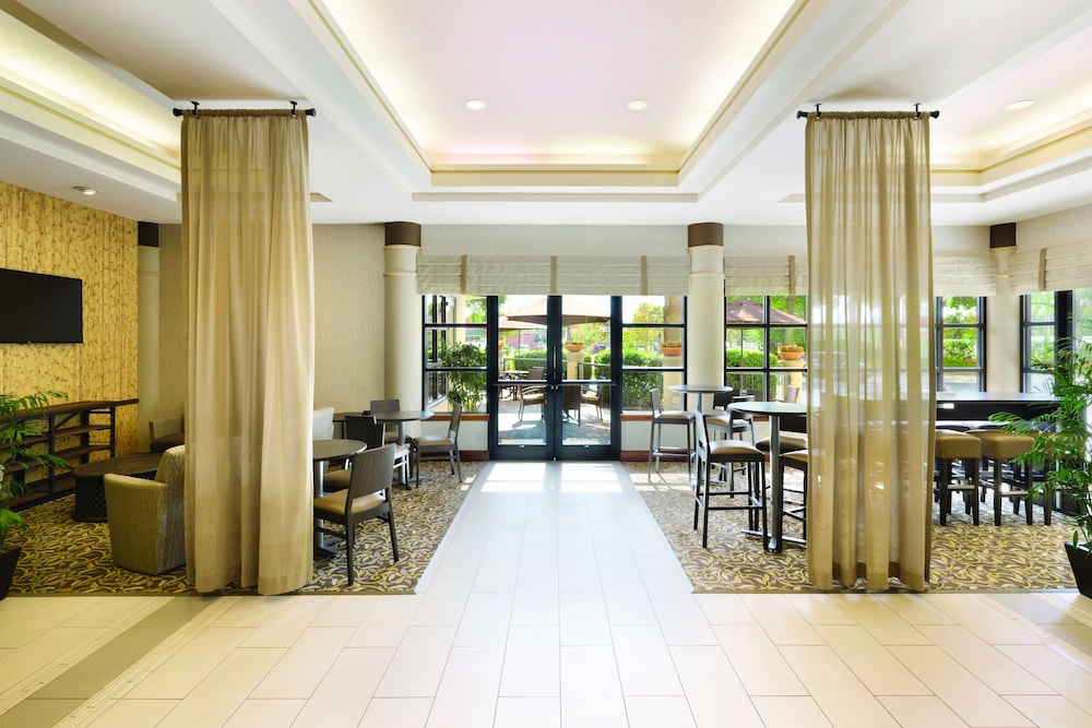 Buena Vista Suites 19/69