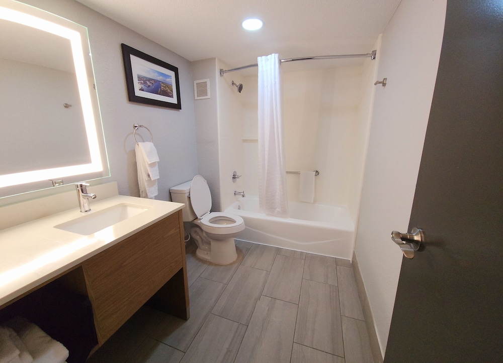 Best Western Plus Mobile Inn and Suites 21/24