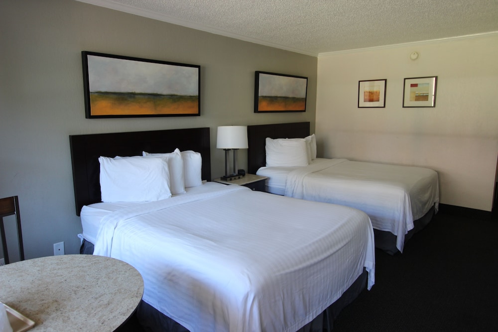 MINI, SUITE, 2 QUEEN BEDS, EXTERIOR ENTRANCE