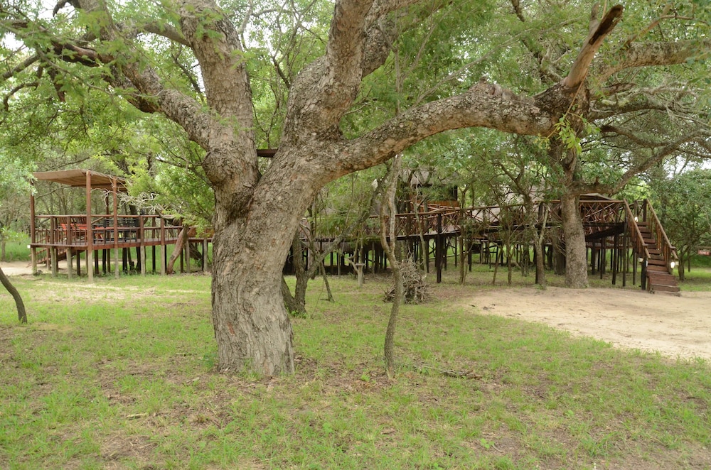 Pezulu Tree House Lodge 39/50