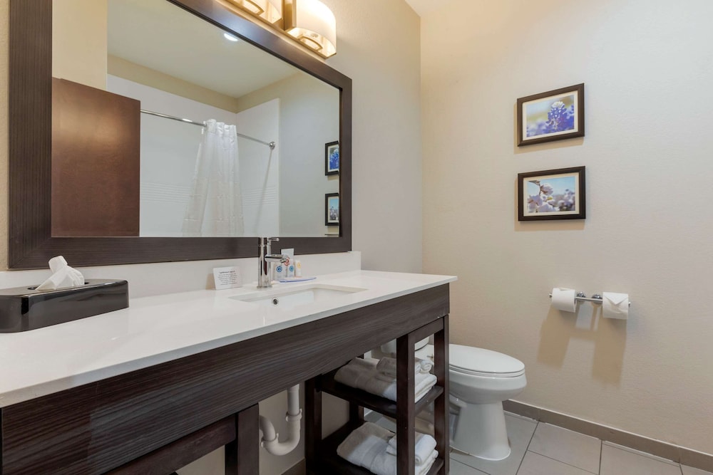 Comfort Inn & Suites Balch Springs - SE Dallas 26/30